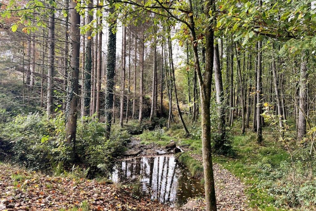 Forest Retreat- Serene 160M2 With Forest Views Wermelskirchen Luaran gambar