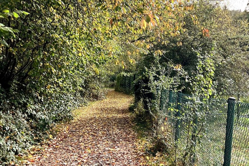 Forest Retreat- Serene 160M2 With Forest Views Wermelskirchen Luaran gambar