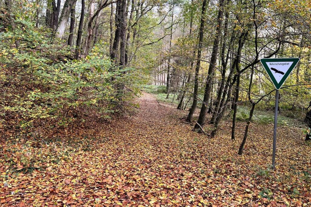 Forest Retreat- Serene 160M2 With Forest Views Wermelskirchen Luaran gambar